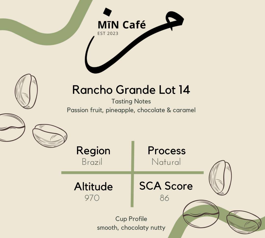 V60 at Home Coffee- Brazil Rancho Grande Iot 14